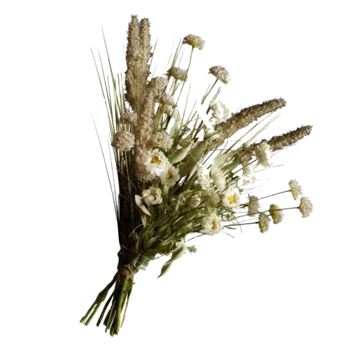 Sticker aaestheticss - 1