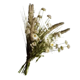 Sticker aesthetics by Di ✨ - 2