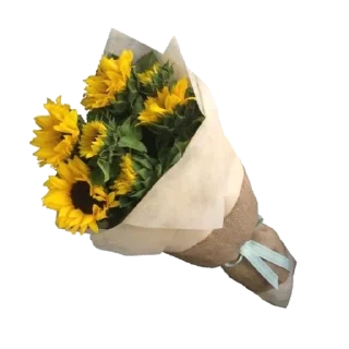 Sticker aesthetics by Di ✨ - 9