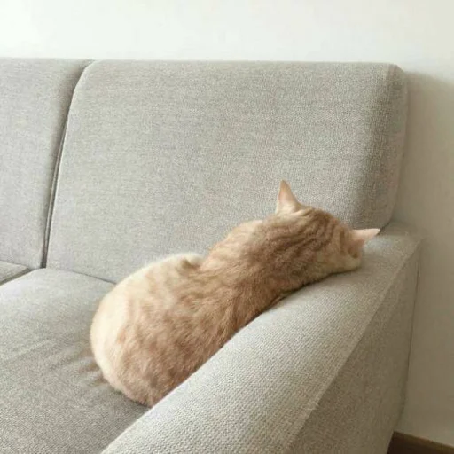 Sticker aanimolz - 1