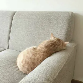 Стикер энимолс - 7