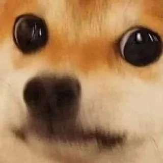 Стикер энимолс - 8