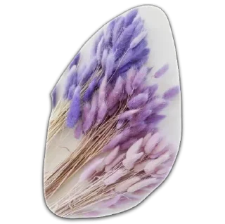 Sticker my princesses - 1