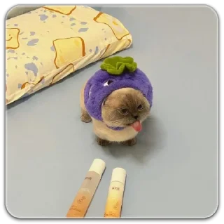 Sticker китик - 10