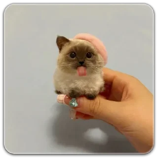 Sticker китик - 6