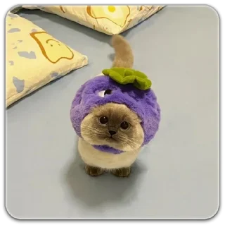 Sticker китик - 3