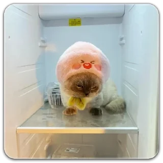 Sticker китик - 9