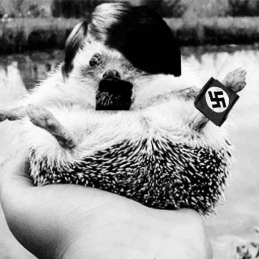 black and white outdoor person