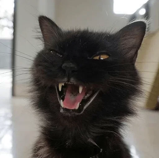 Стикер abababbabababba :: @fStikBot - 4