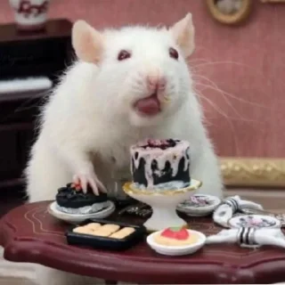 Sticker крыски VHL - 6