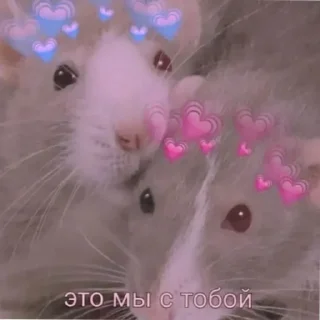 Sticker крыски VHL - 3