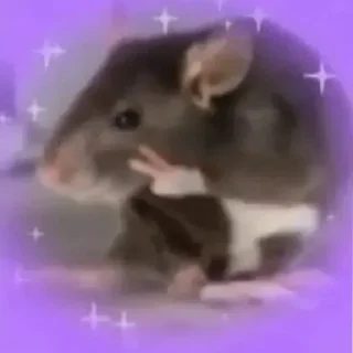 Sticker крыски VHL - 1