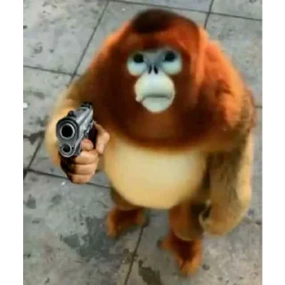 Sticker Монкиз🦍 - 3