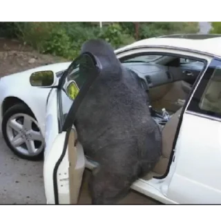 Sticker Монкиз🦍 - 1