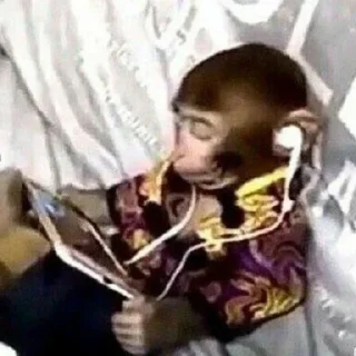 Sticker Монкиз🦍 - 11