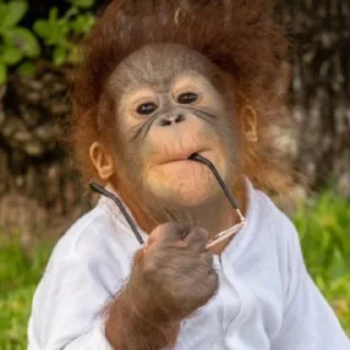 Sticker Монкиз 2 🦍 - 5