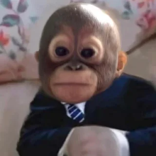 Sticker Монкиз 2 🦍 - 4