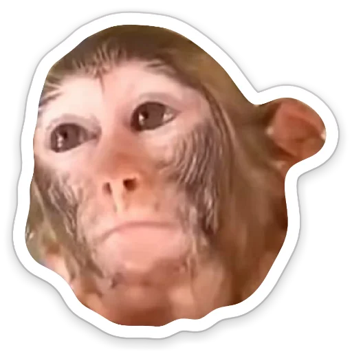 sketch human face cheek