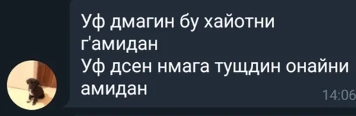 Стикер абитуры by @fStikBot - 2