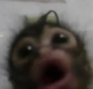 Sticker абызяны - 0