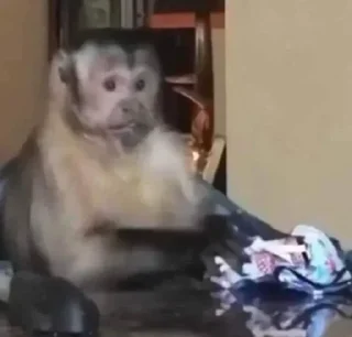 Sticker абызяны - 11