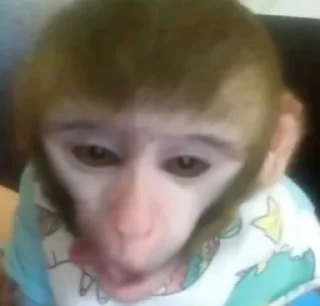 Sticker абызяны - 10