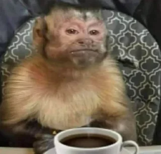 Sticker абызяны - 2