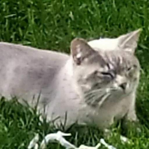 аблэдвзтцдвщ :: @fStikBot - мультфильм