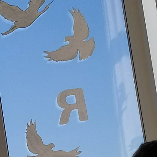 орёл птица животное