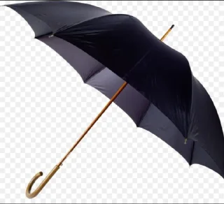 Sticker АБОСРЫШНАЯ ПОПОЗА @TgEmodziBot - 4