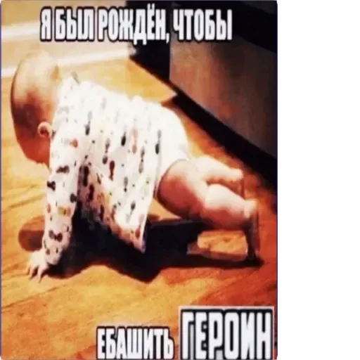 Sticker absolutdima - 1