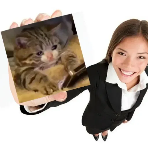 Sticker absolutdima - 1