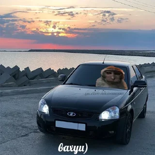 Стикер суета.... by @abudhabidagi - 6