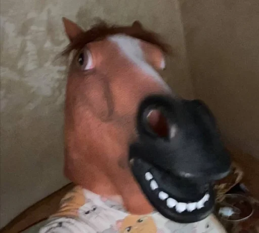 животное комнатный млекопитающее