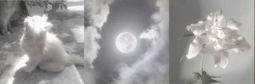 Sticker acWPz6b4_by_EmojiCatalogbot - 1