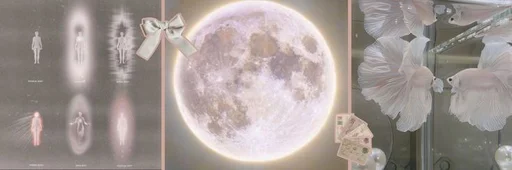 Sticker acWPz6b4_by_EmojiCatalogbot - 1