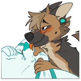 Sticker Acacia Shep! - 5