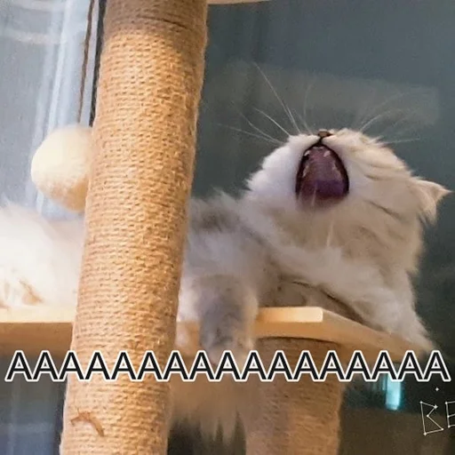 Sticker aкту@льные мемы by @polyamolodec - 9