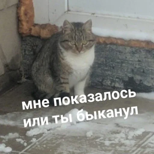 Sticker aкту@льные мемы by @polyamolodec - 5