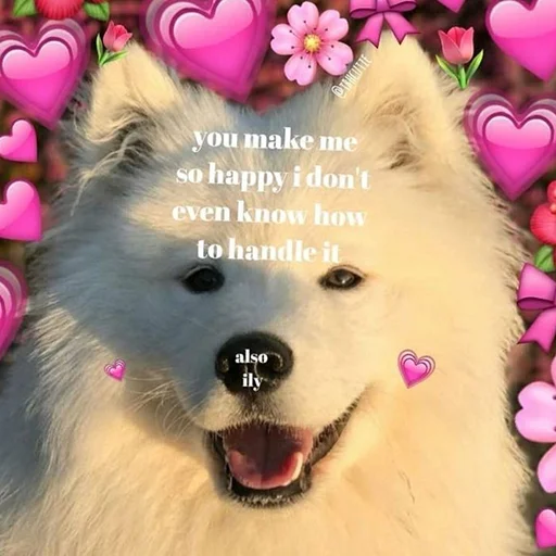 Sticker aкту@льные мемы by @polyamolodec - 0