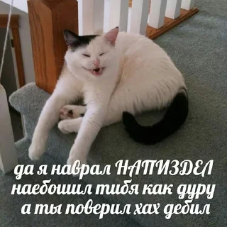 Sticker aкту@льные мемы by @polyamolodec - 7