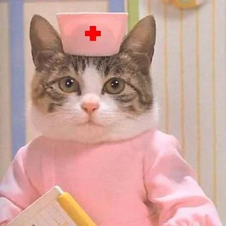 Стикер @addict_fox - 8