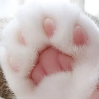 Стикер @addict_fox - 6