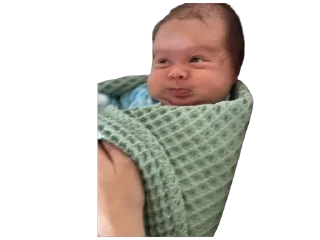 Sticker адри 🐻 - 5