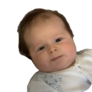 Sticker адри 🐻 - 7