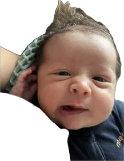 Sticker адри 🐻 - 9