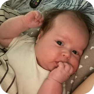 Sticker адри 🐻 - 6