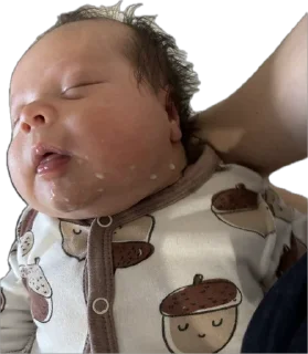 Sticker адри 🐻 - 2