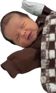 Sticker адри 🐻 - 10