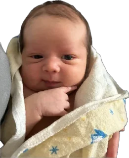 Sticker адри 🐻 - 8